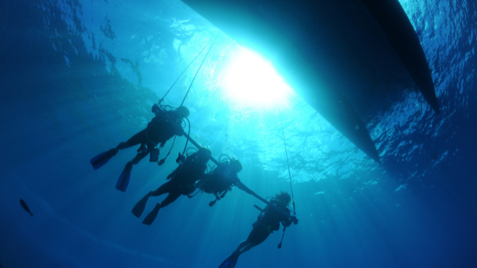 Lire la suite à propos de l’article Plongee sous marine